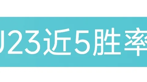 勒沃库森连胜态势延续，以1-0击败美因茨
